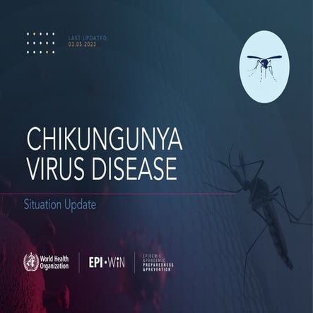 chikungunya outbreak and prevention disease