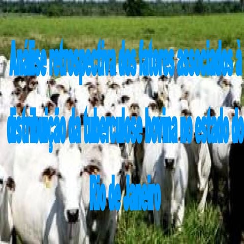 Tuberculose Bovina