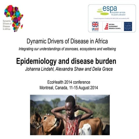 Dynamic drivers of disease in Africa: Epidemiology and disease burden