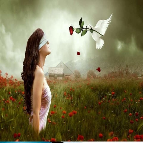 Epidemiology of blindness