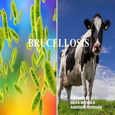Epidemiology of BRUCELLOSIS.pptx.................