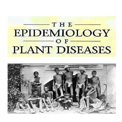 Epidemiology of plant diseases