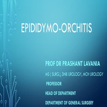 Imaging vastitis differentitis funiculitis seminal vesiculitis Dr Ahmed ...