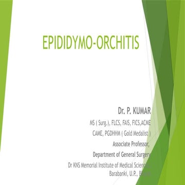 EPIDIDYMO-ORCHITIS DISEASE/ Acute Scrotum.pptx