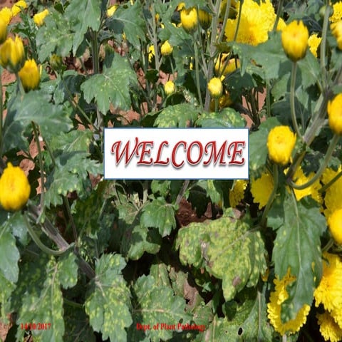 Epidimilogy and manegment of rust fungus