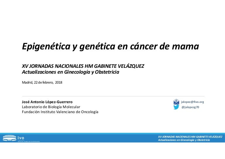 dieta cetosisgenica para el cancer de mama