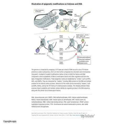 Epigenetic_modifications mechanism .pptx
