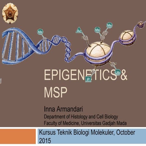 Epigenetics ppt | PPTX
