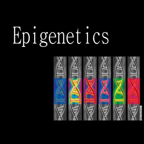 Epigenetics