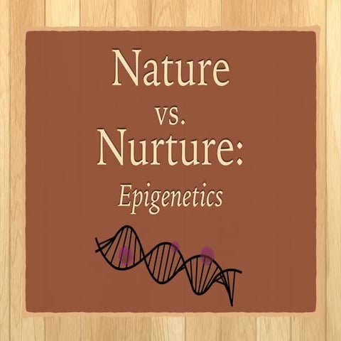 Epigenetics