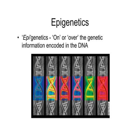 Epigenetics