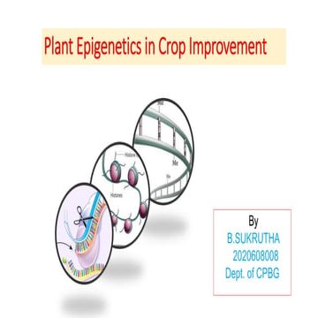 Plant Epigenetics in crop Improvement 
