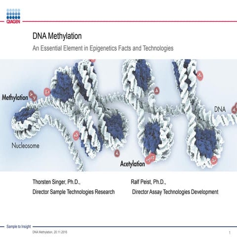 DNA Methylation: An Essential Element in Epigenetics Facts and Technologies