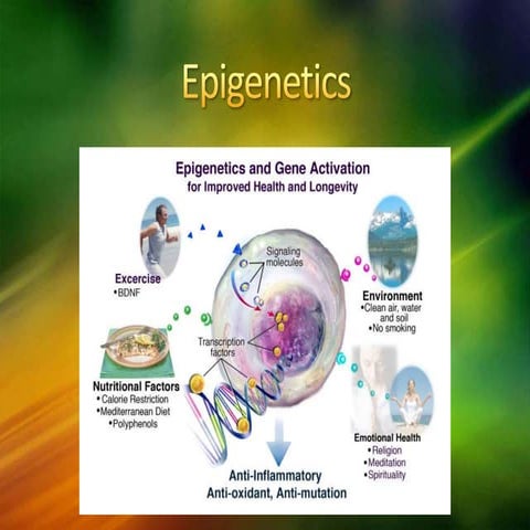 Epigenetics 