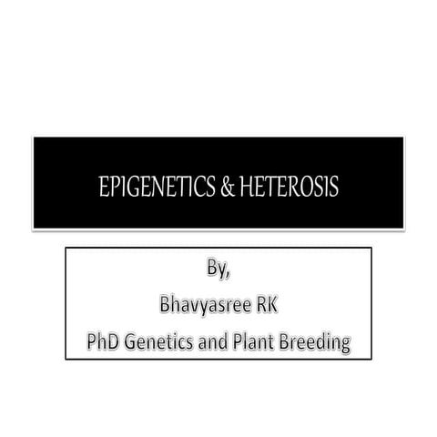 Epigentecs and heterosis