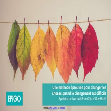 Switch : Osez le changement - résumé