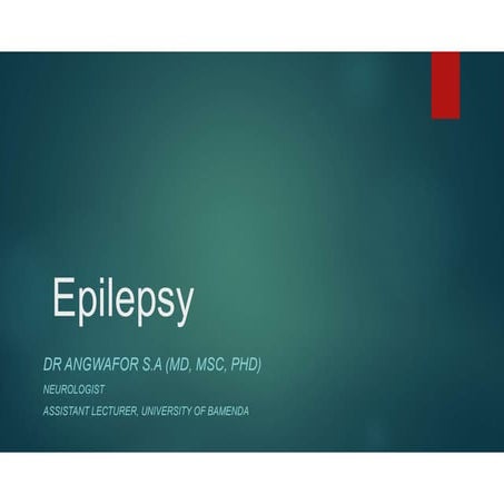 Epilepsy Lecture.pdf