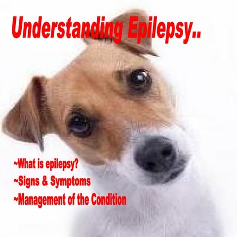 Epilepsy