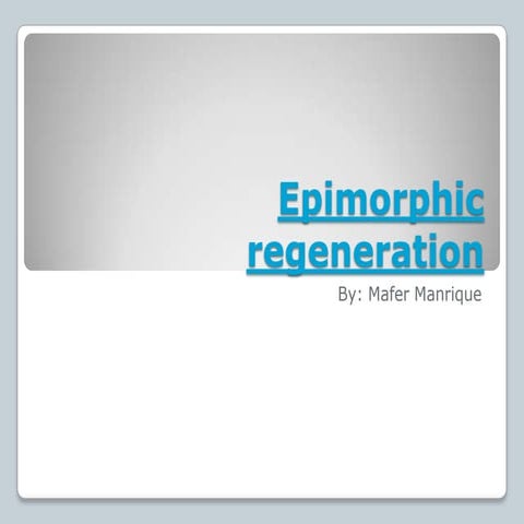 Regeneration | PPTX