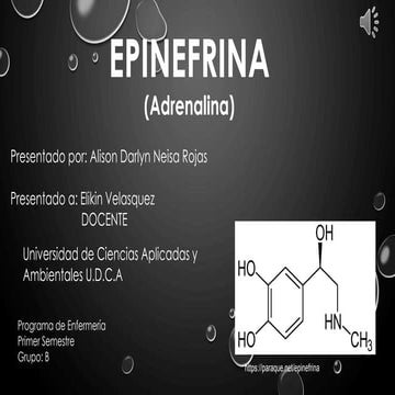 Adrenalina | PDF