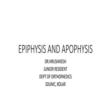 Epiphysis and apophysis