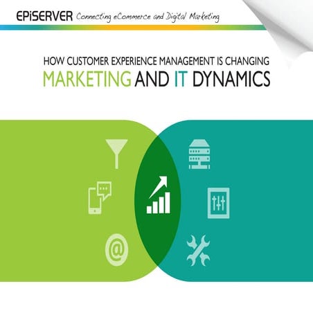 Marketing vs IT Dynamics in Customer Experience Management