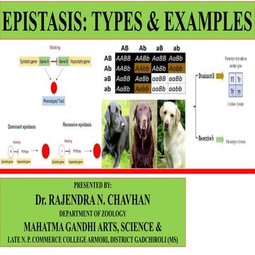 EPISTASIS.pptx