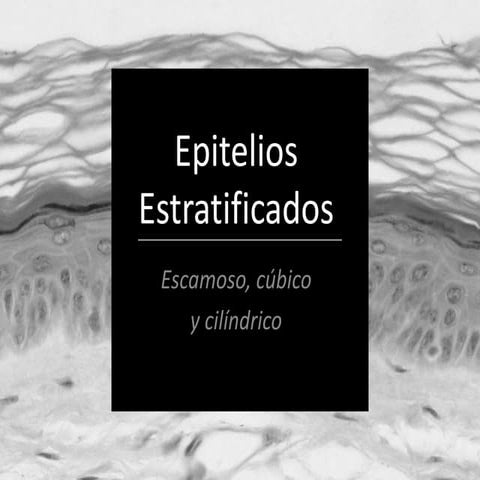 Epitelios Estratificados