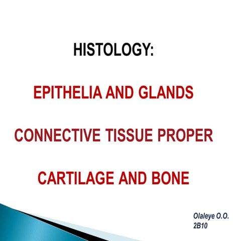 HISTOLOGY: EPITHELIA AND GLANDS CONNECTIVE TISSUE PROPER CARTILAGE AND BONE