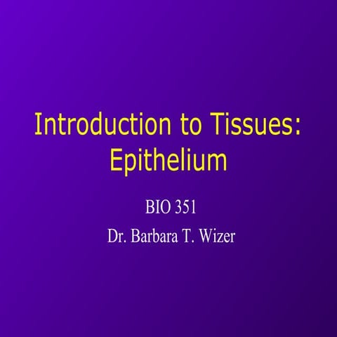 Epithelial tissue (2011) | PPT