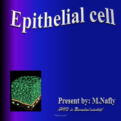 Epithelial cell