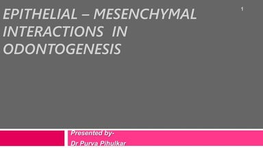 Epithelial – Mesenchymal Interactions in Tooth Development.pptx