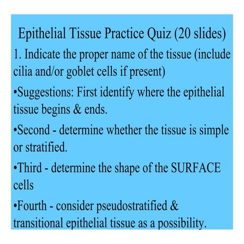 EpithelialSlidesPracticeQuizA.pdf