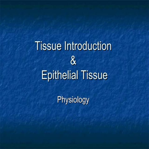Epithelialtissue 120208062655-phpapp02