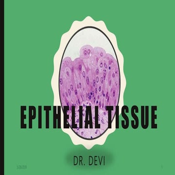 Histology -Epithelial tissue