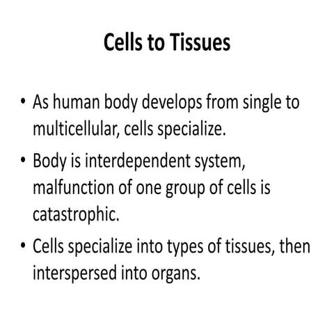 Epithelial Tissue.ppt