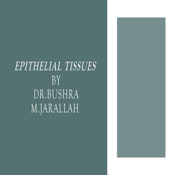 Epithelial Tissue