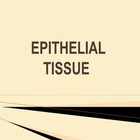 Epithelial tissue 1