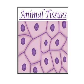 EPITHELIAL TISSUES IN BIOLOGY STEM .pptx