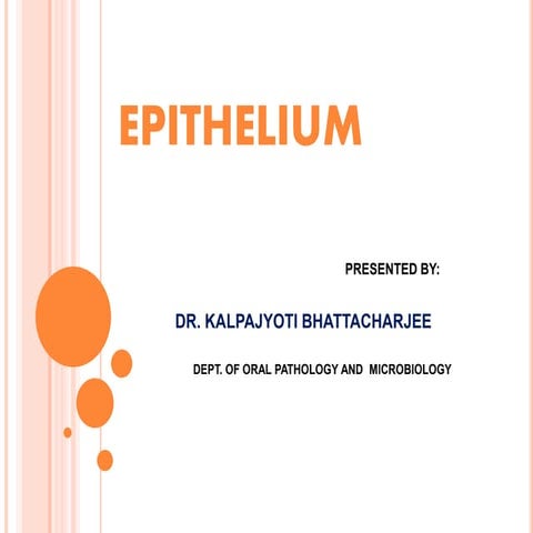 Epithelium