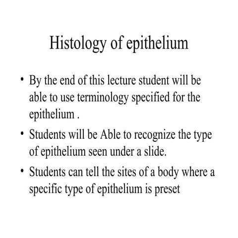 Epithelium histology