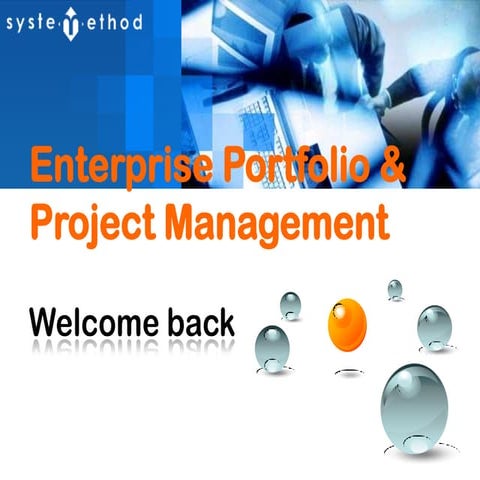 Enterprise Project Management Essential (2009)