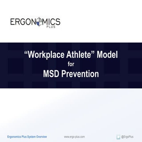 MSD Prevention Process Overview