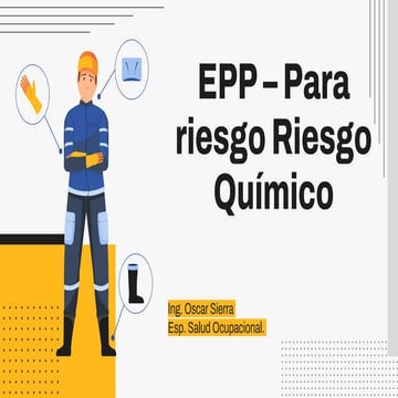 Formato entrega de epp | PDF