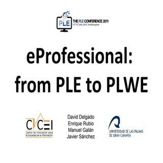 E-professional: from PLE to PLWE