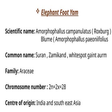 EPY , YAMS,  YAM BEAN.pptx and difference