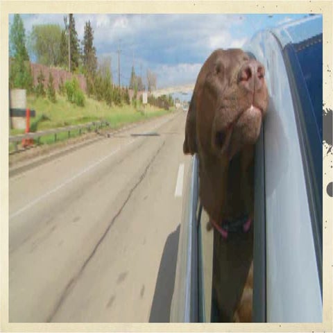 The Business Case for implementing EQ-i and EQ360's inside an organization.