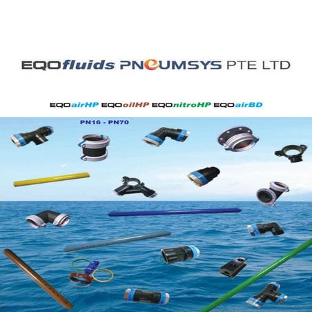  EQOFLUIDS PNEUMSYS PTE LTD  Singapor
