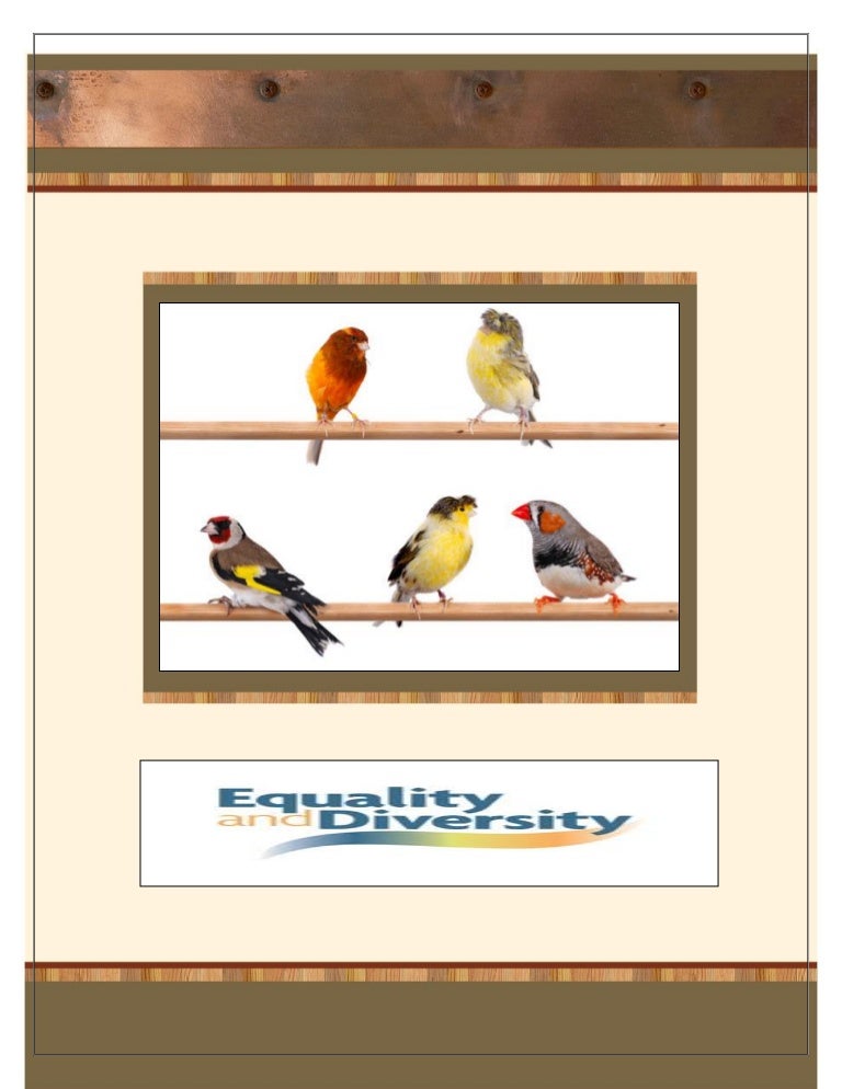 Diversity essay sample