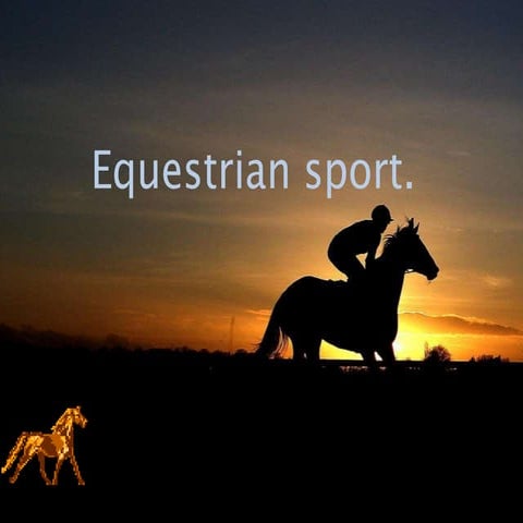 Equestrian sport.
